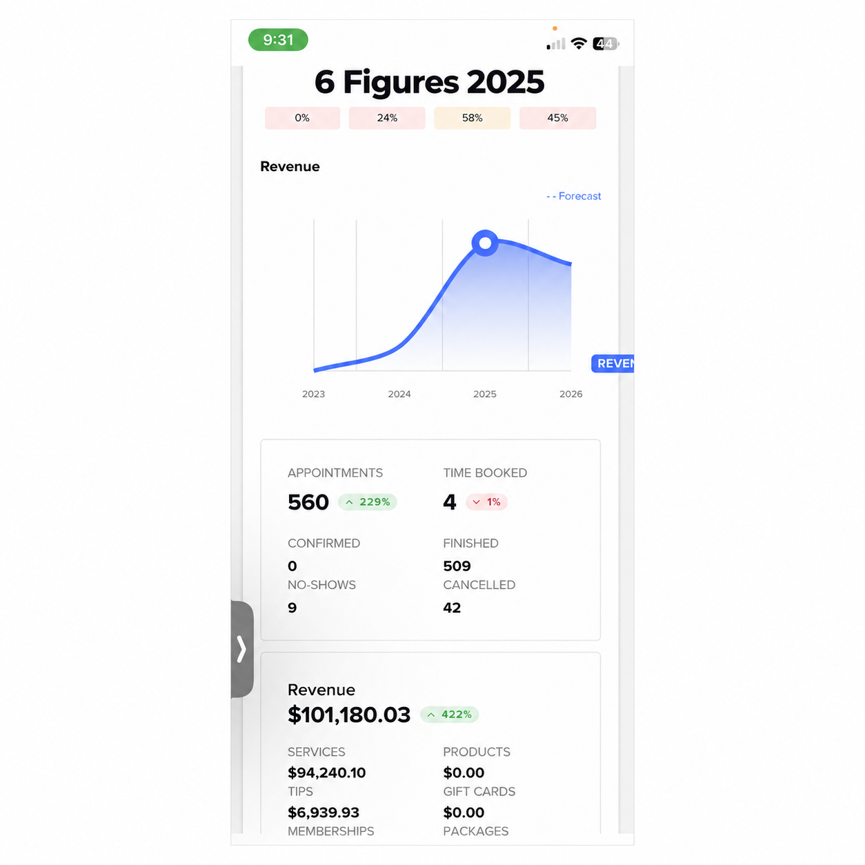 Sue's Booksy business results