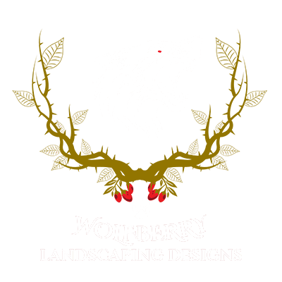 landscaping in Tucson