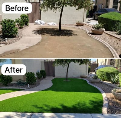 Removal/ Clean Up in Marana