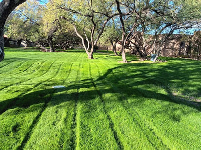 Irrigation & Drainage in Tucson