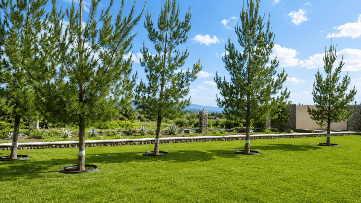 Jardines de Hacienda Los Arrayanes