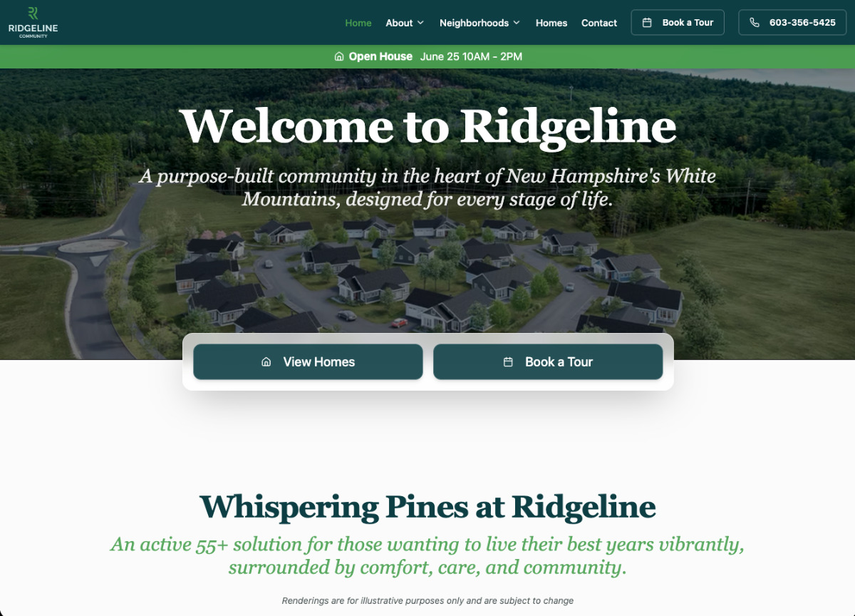 Smart Website design example 11