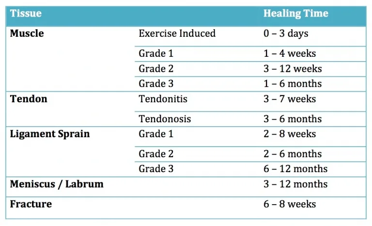 Tissue Healing Timelines for injuries 