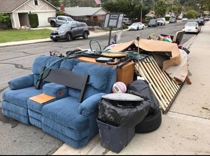 Eviction Trash Out