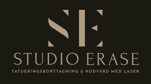 Studio Erase business logo