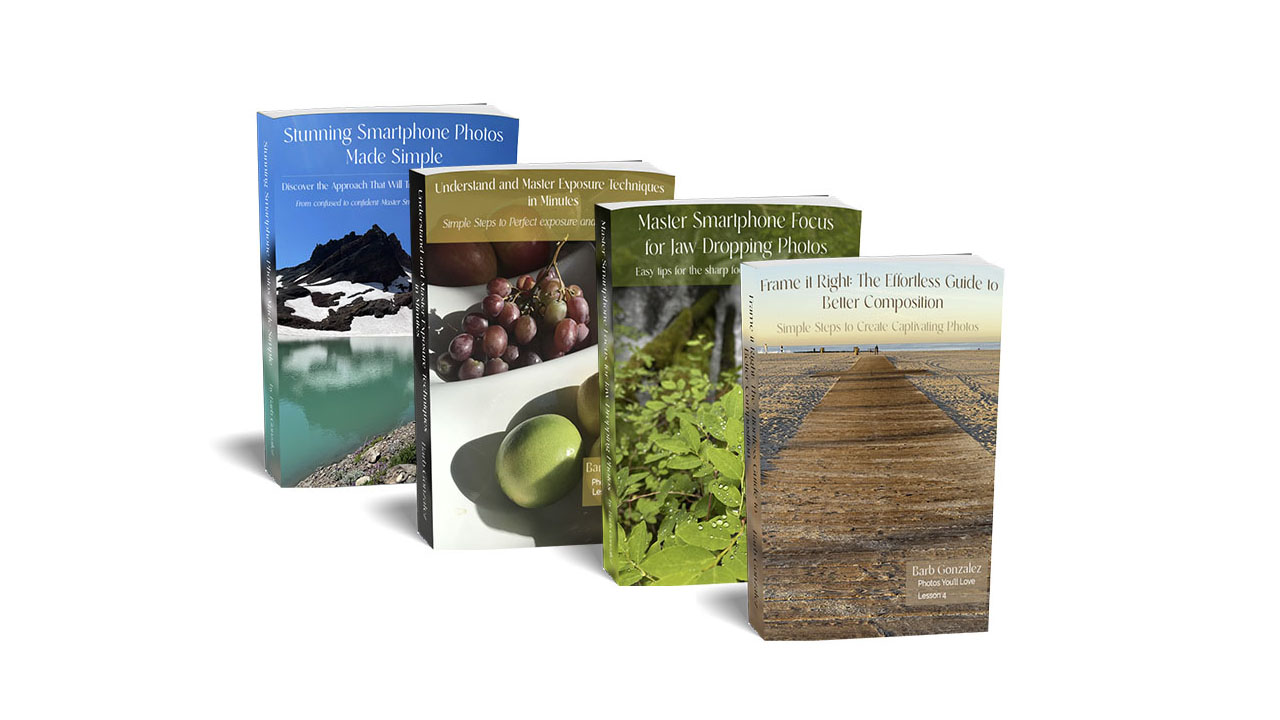 Photography Essentials Bundle