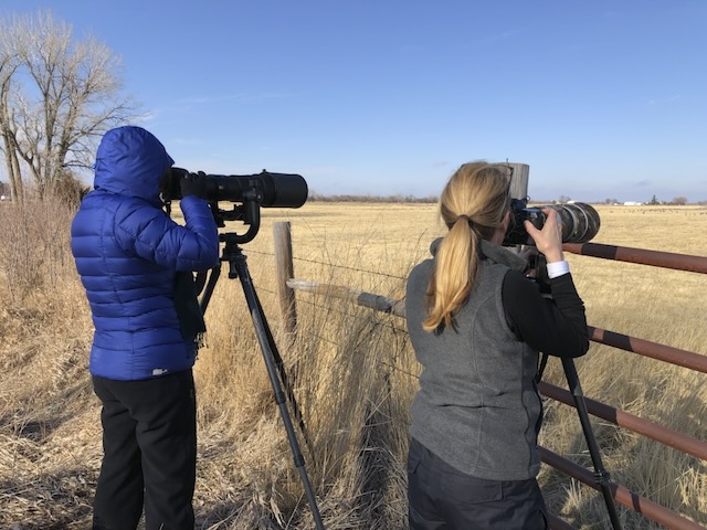 Workshop or photo tour