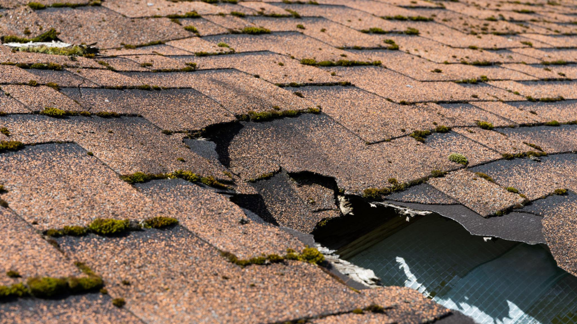 Roof Repair & Maintenance