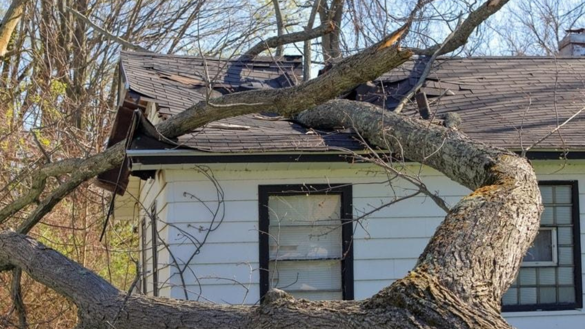 Emergency Roof Repair