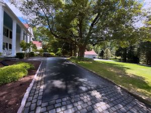 {{ custom_values.service_3 }} in {{custom_values.area_4})