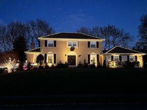 {{ custom_values.service_4 }} in {{custom_values.area_6})