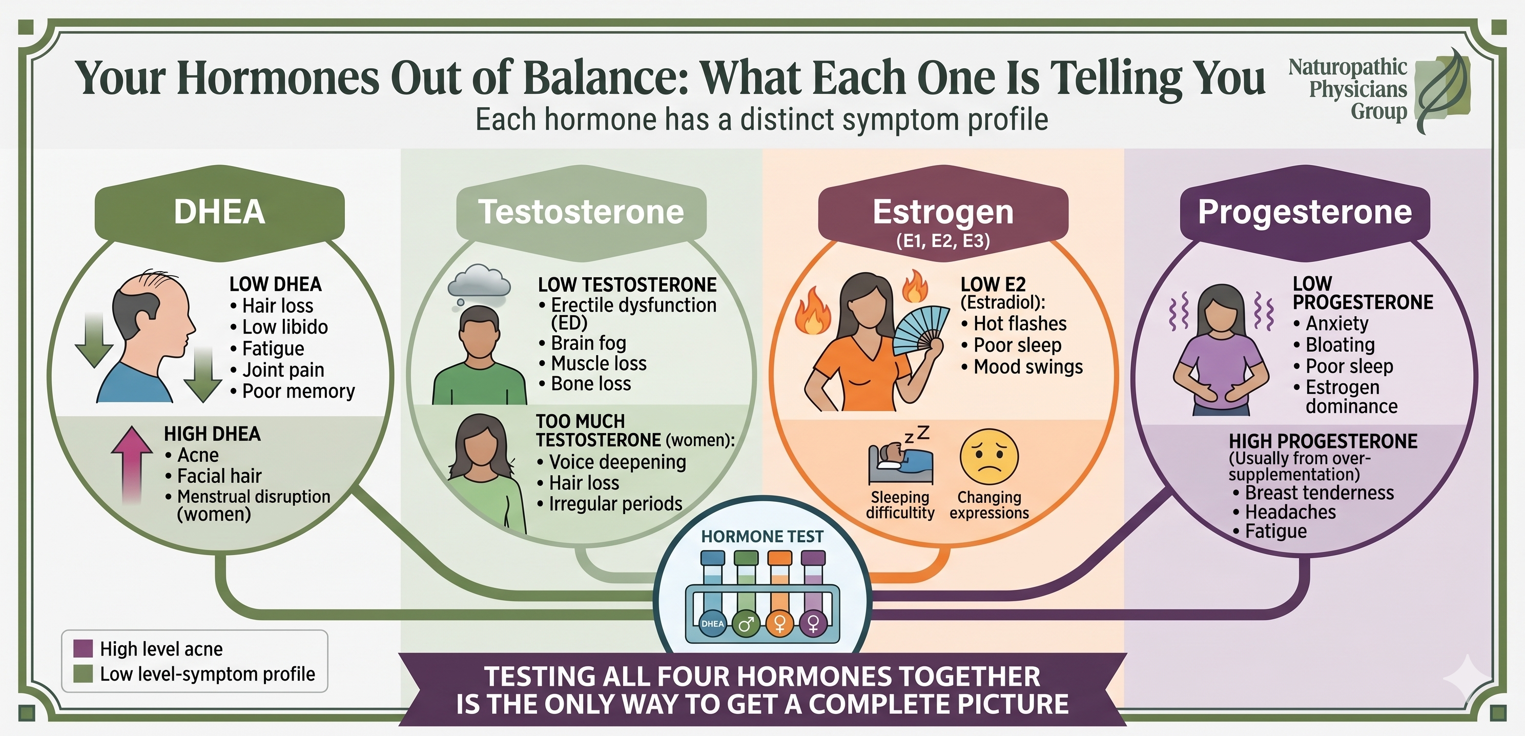 Infographic showing symptoms of hormone imbalance for DHEA, testosterone, estrogen, and progesterone from the Naturopathic Physicians Group Scottsdale 