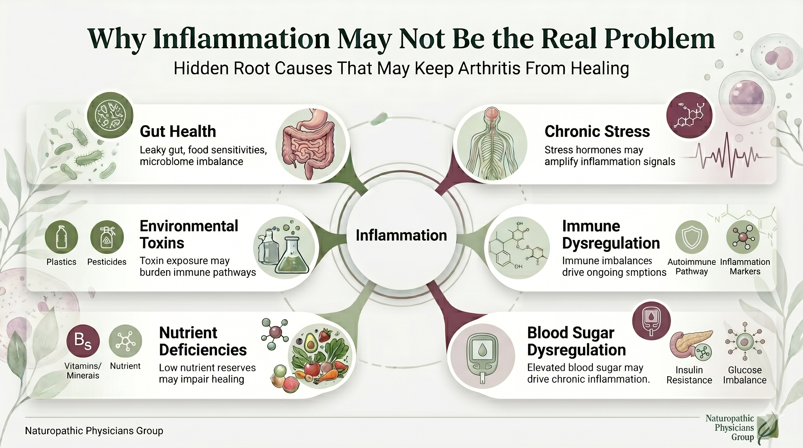 Infographic showing root causes of stubborn weight gain, including cortisol, thyroid, and insulin resistance 