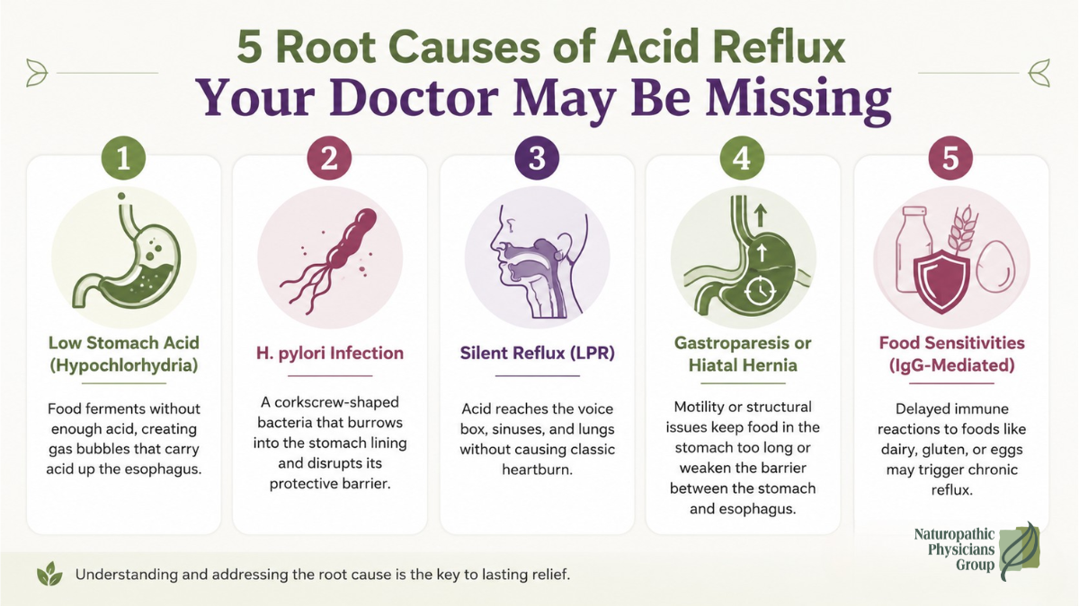 Infographic showing 5 root causes of acid reflux, including low stomach acid and food sensitivities, Naturopathic Physicians Group Scottsdale