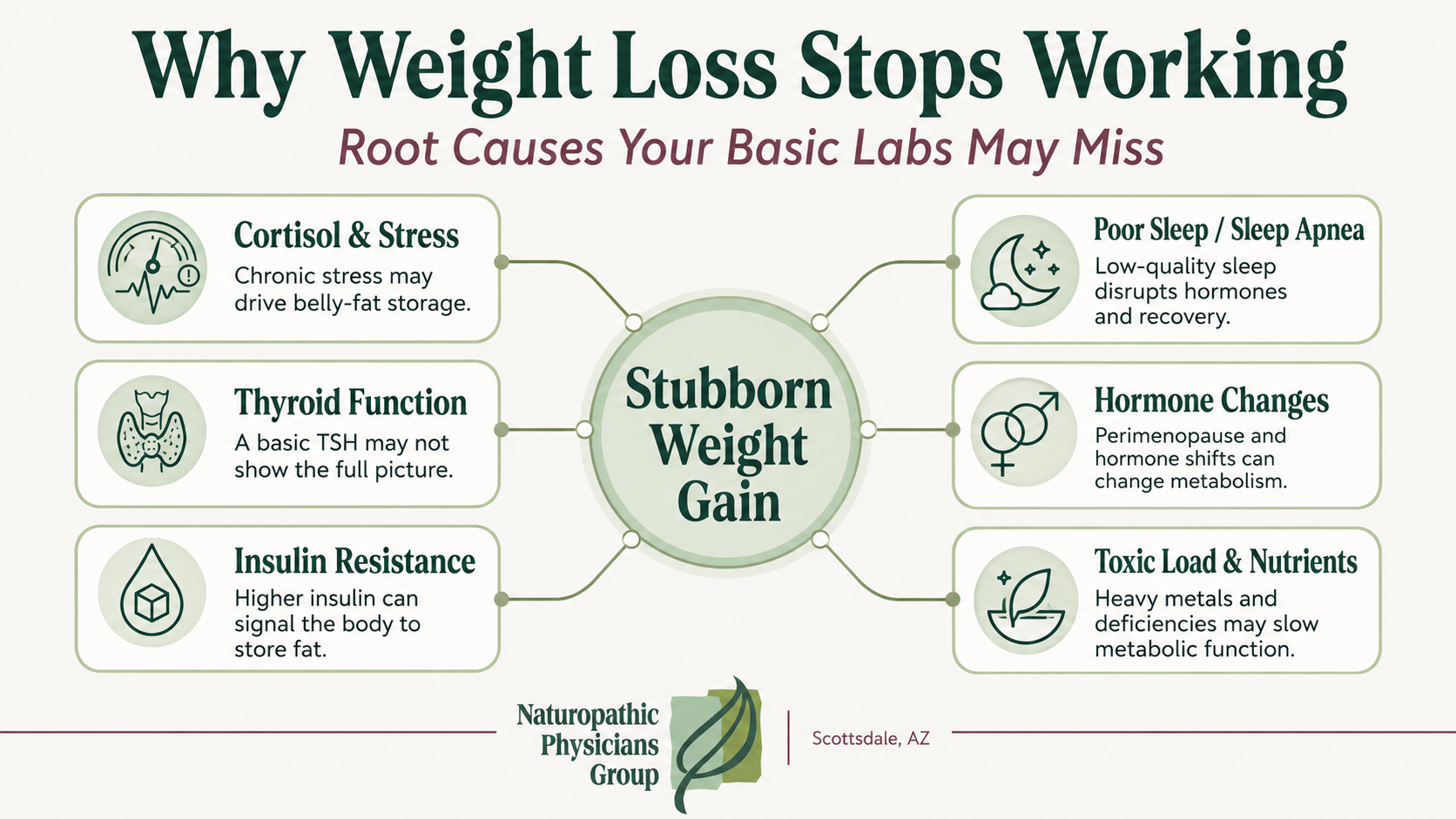 Infographic showing root causes of stubborn weight gain, including cortisol, thyroid, and insulin resistance