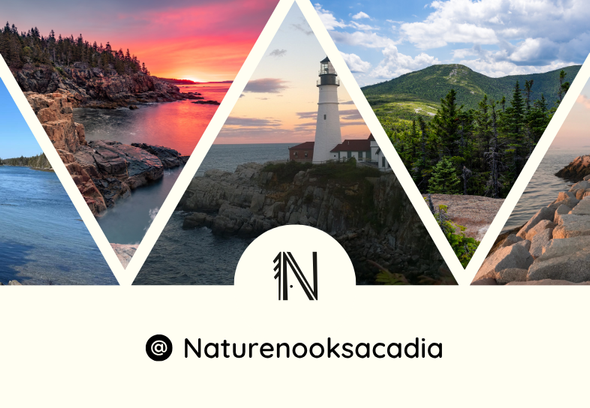 #Airbnbust: The Fall of Short-Term Rentals