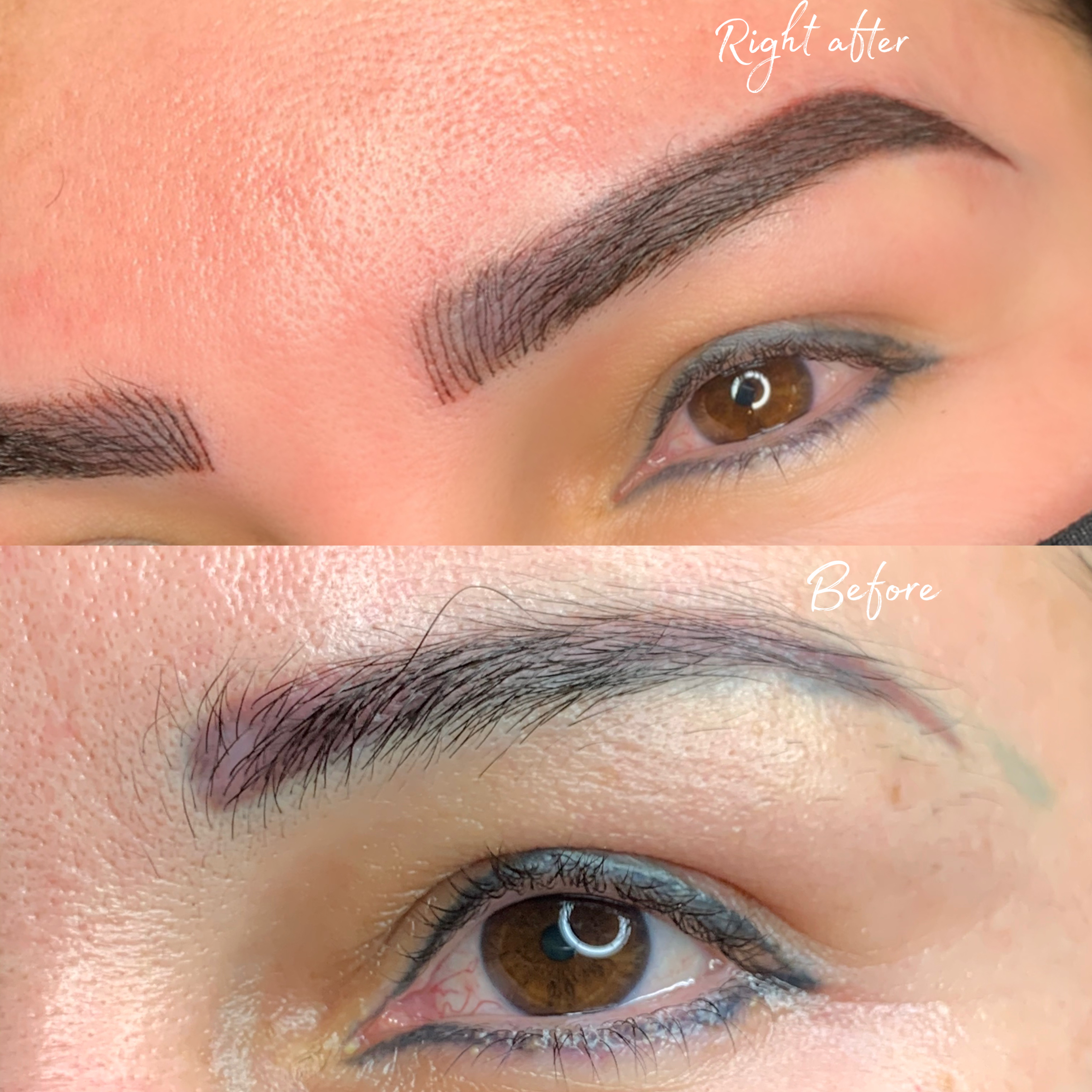 Brow Correction Multi-Color by Beauty Ink PMU