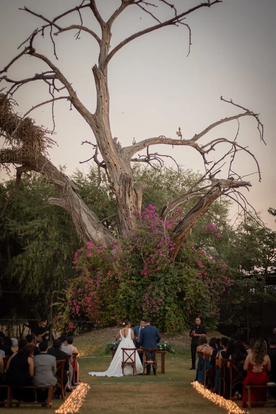 A ceremony under the old sabino tree, bougainvillea overhead, candles along the aisle