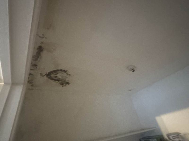 Black mould on a bedroom wall before treatment