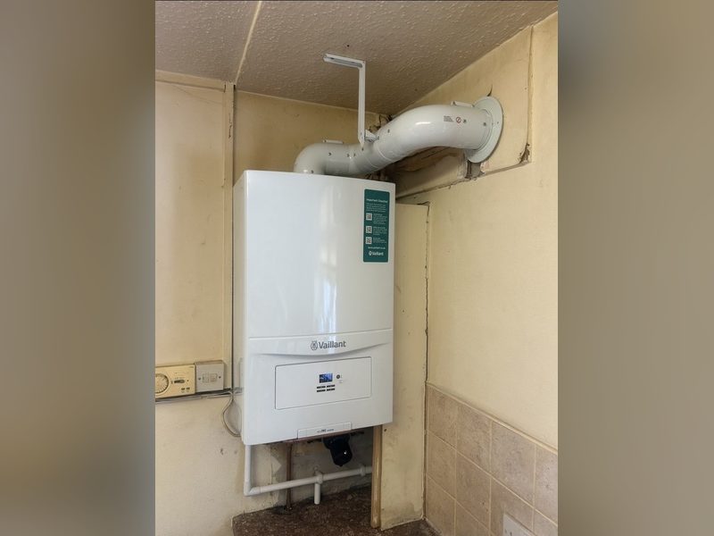 Wall-hung boiler with new flue