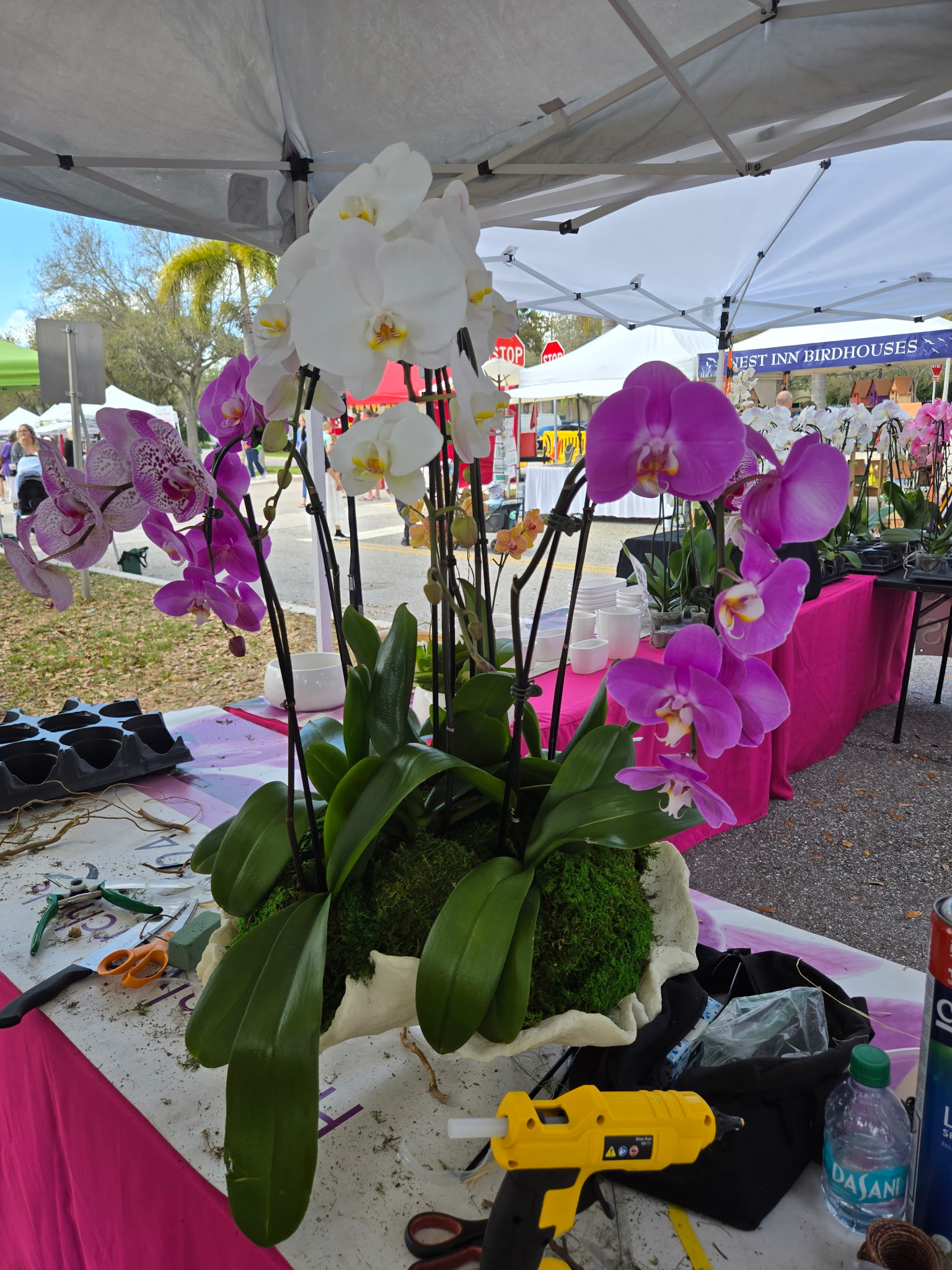 Orchid arrangement