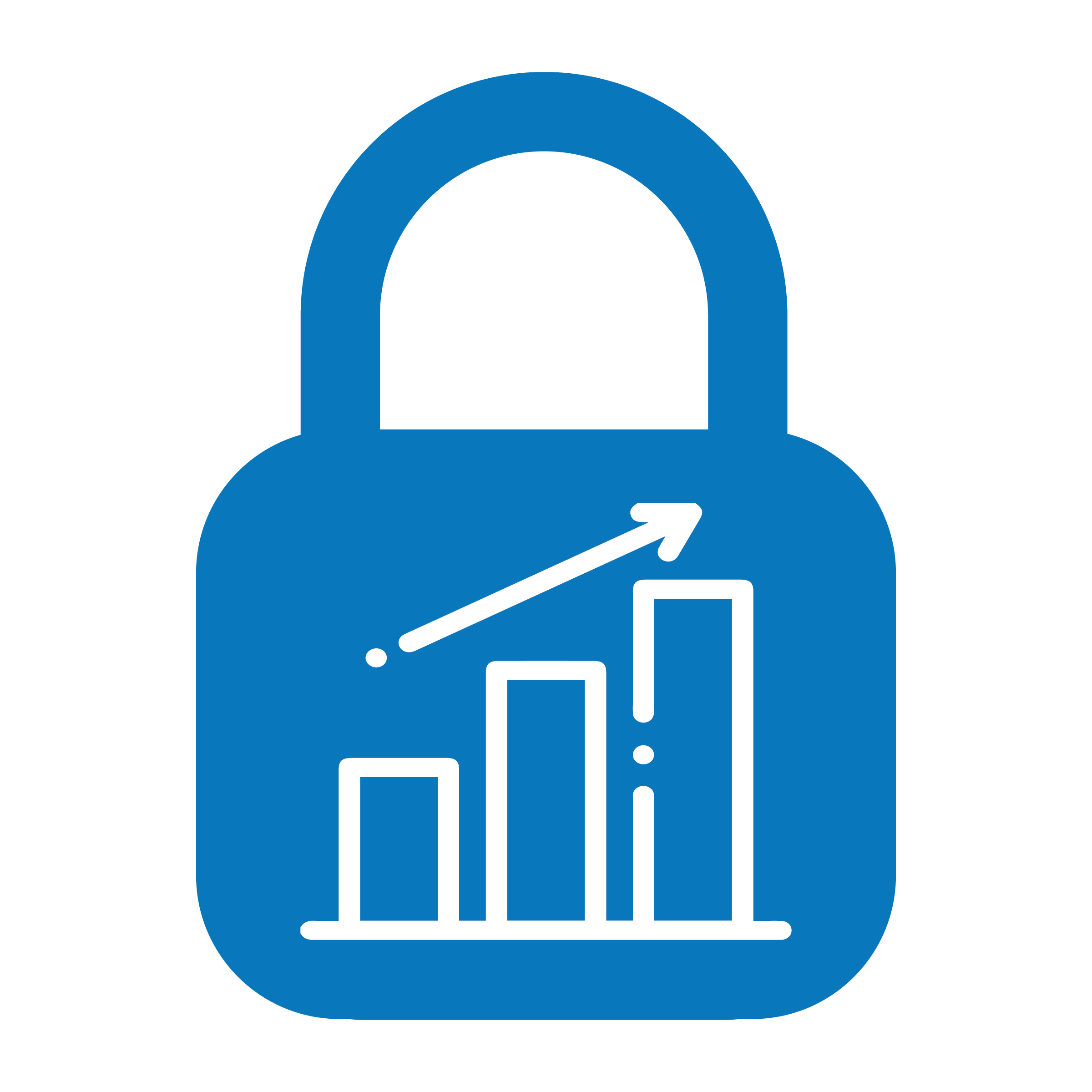 Safe & Secure Insurance