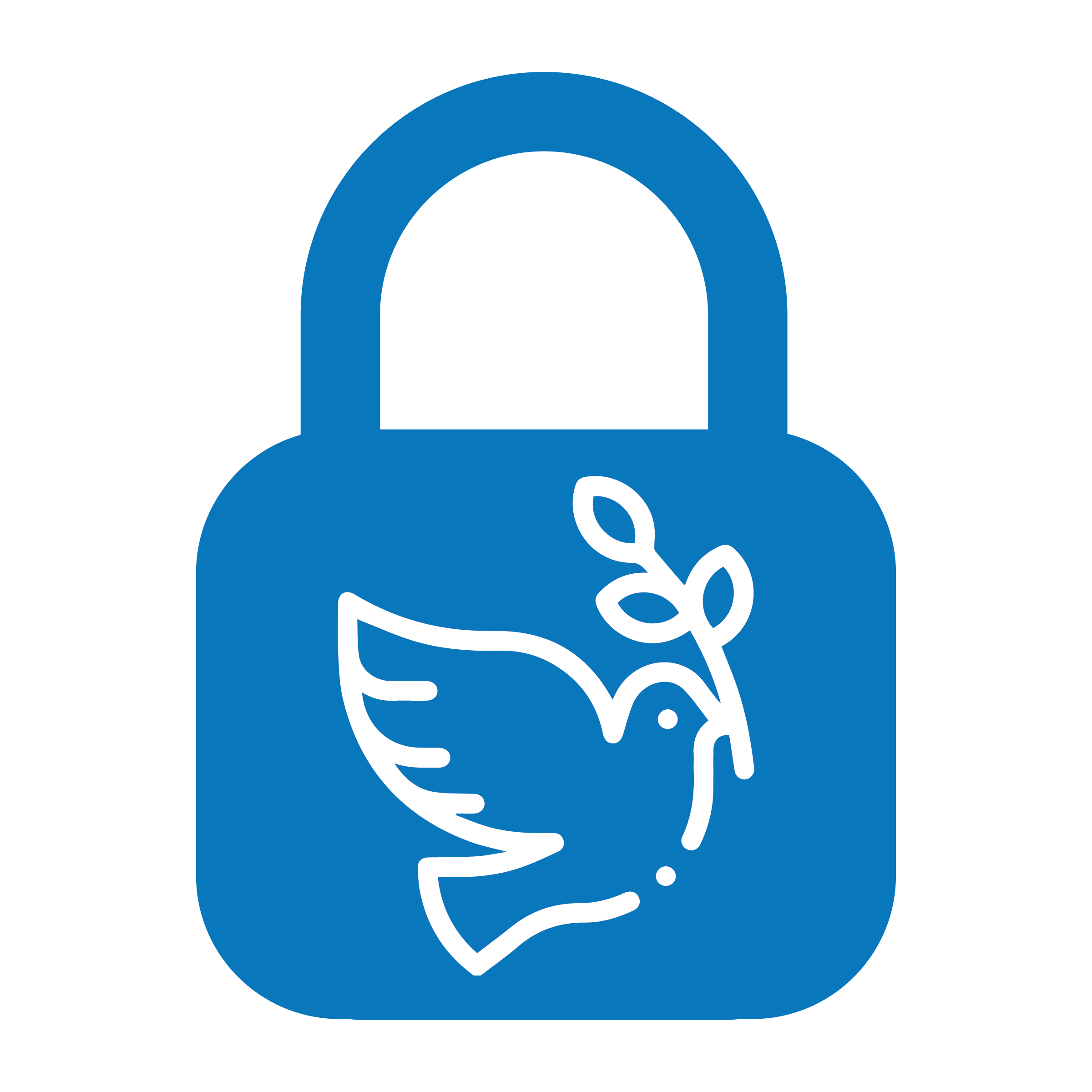 Safe & Secure Insurance