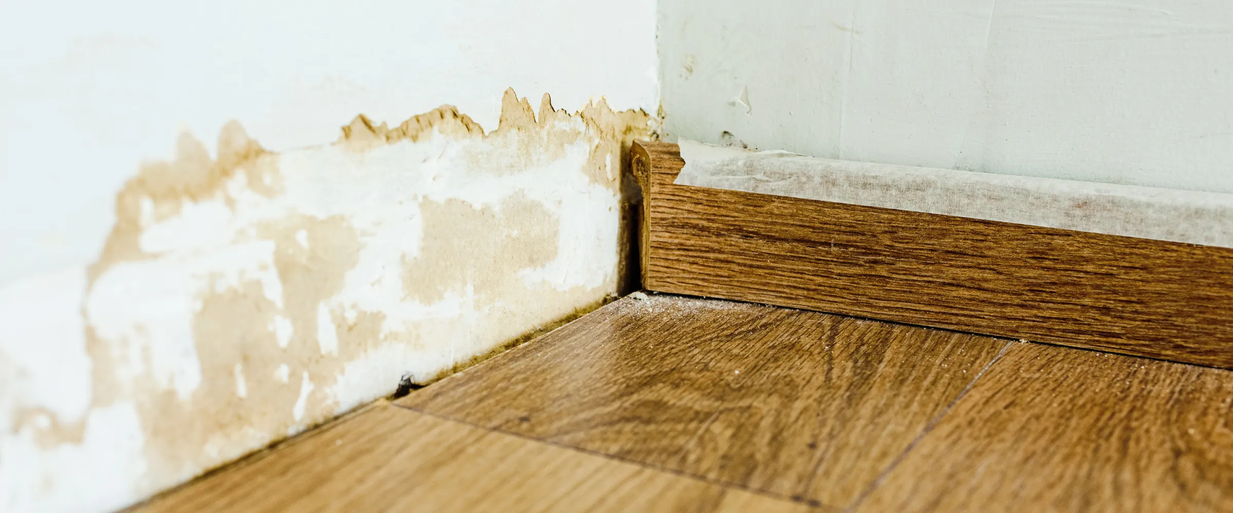 Close-up of a wall corner with severe water damage, peeling paint, and brown stains above a wooden floor and baseboard. Close-up of a wall corner with severe water damage, peeling paint, and brown stains above a wooden floor and baseboard.
