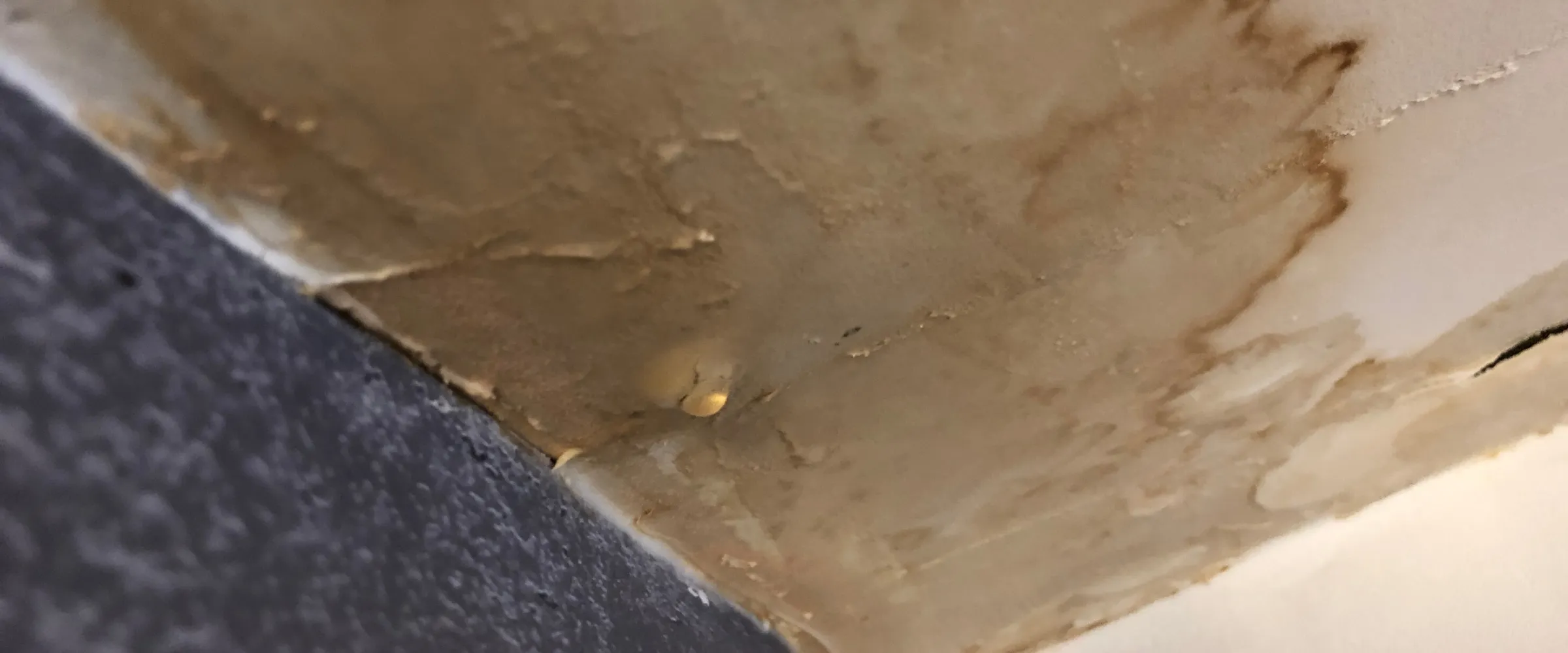 A close-up view of severe water damage on a ceiling corner, with a clear water droplet forming and ready to fall. A close-up view of severe water damage on a ceiling corner, with a clear water droplet forming and ready to fall.