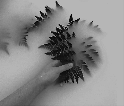 The Studio — Where science meets skin ritual
