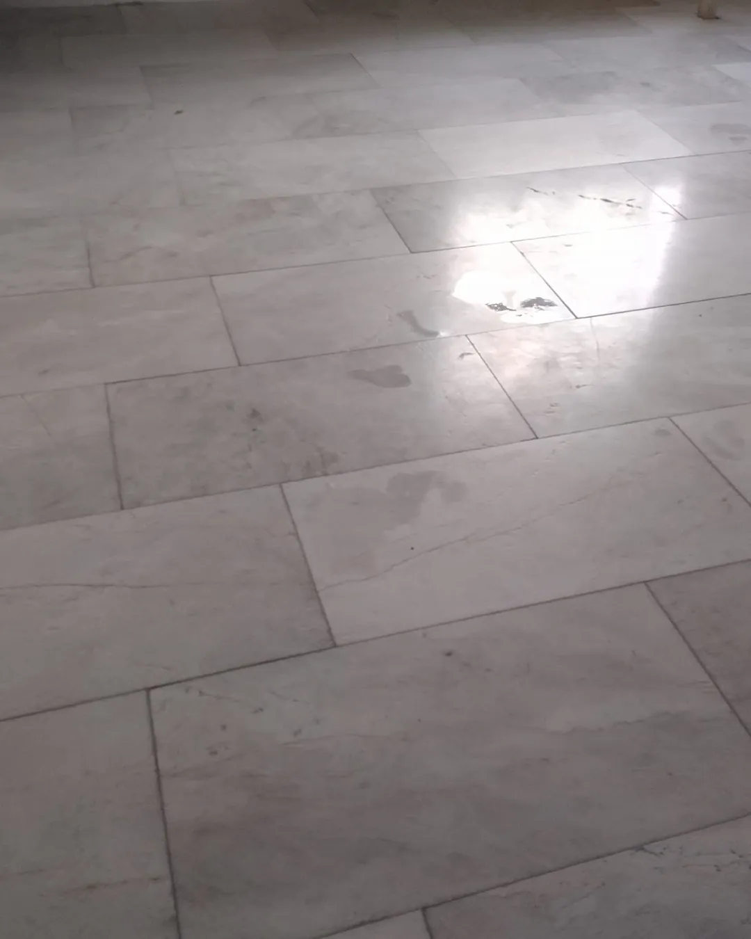 Polished marble-look tile floor field by T-L Ceramic