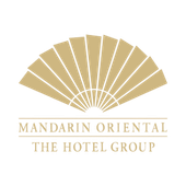 Martin Schnider business logo