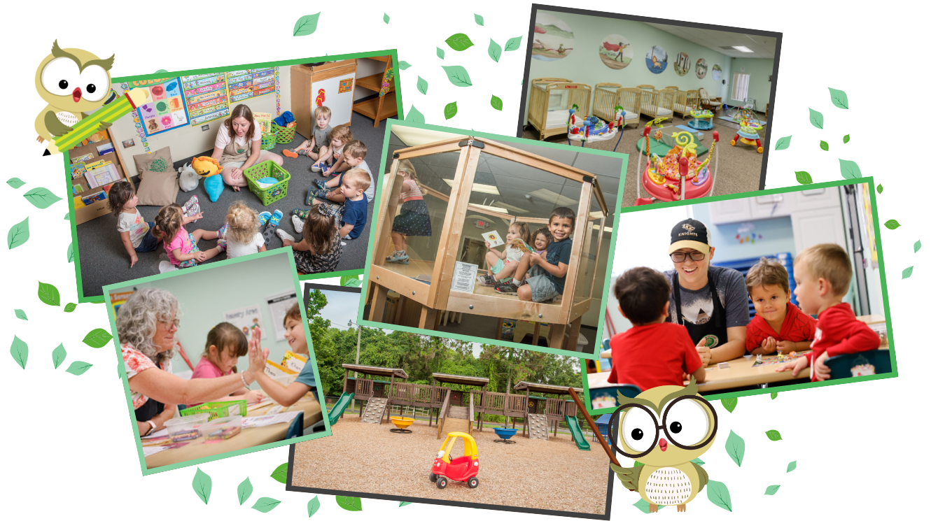 Collage featuring various activities in a childcare setting including classroom learning, outdoor play, nap rooms, and interactions between teachers and young children, framed by cartoon owls and falling green leaves.
