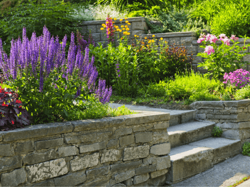 Dale Landscaping & Design