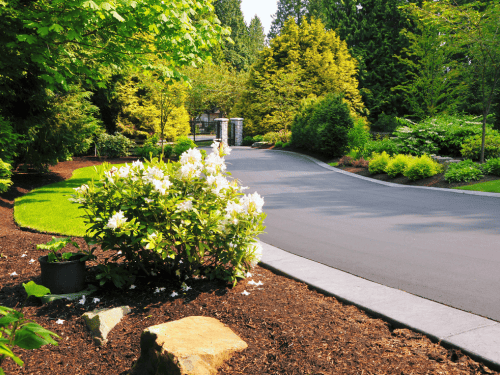 Landscaping & Design Bastrop