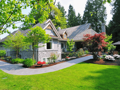 Tree Service in Bastrop