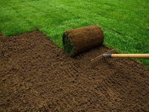 Lawn Care & Maintenance in Bastrop