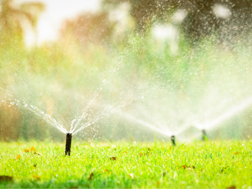 Irrigation in Bastrop