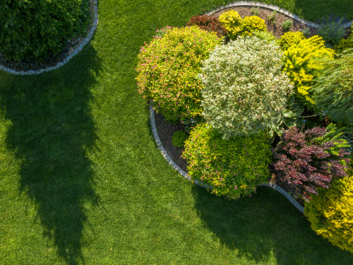 Dale Lawn Care & Maintenance