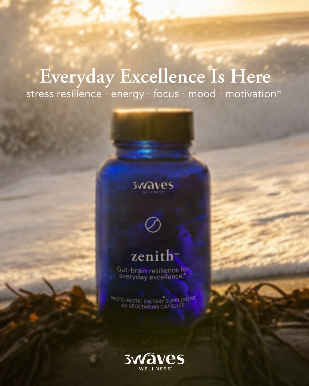Zenith protobiotic supplement by Three Waves Wellness