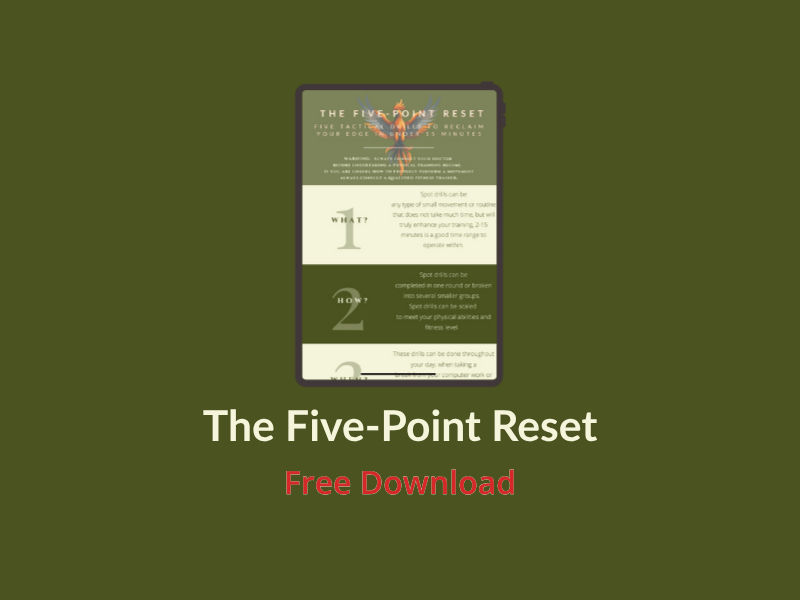 The Five-Point Reset — Free Guide Preview