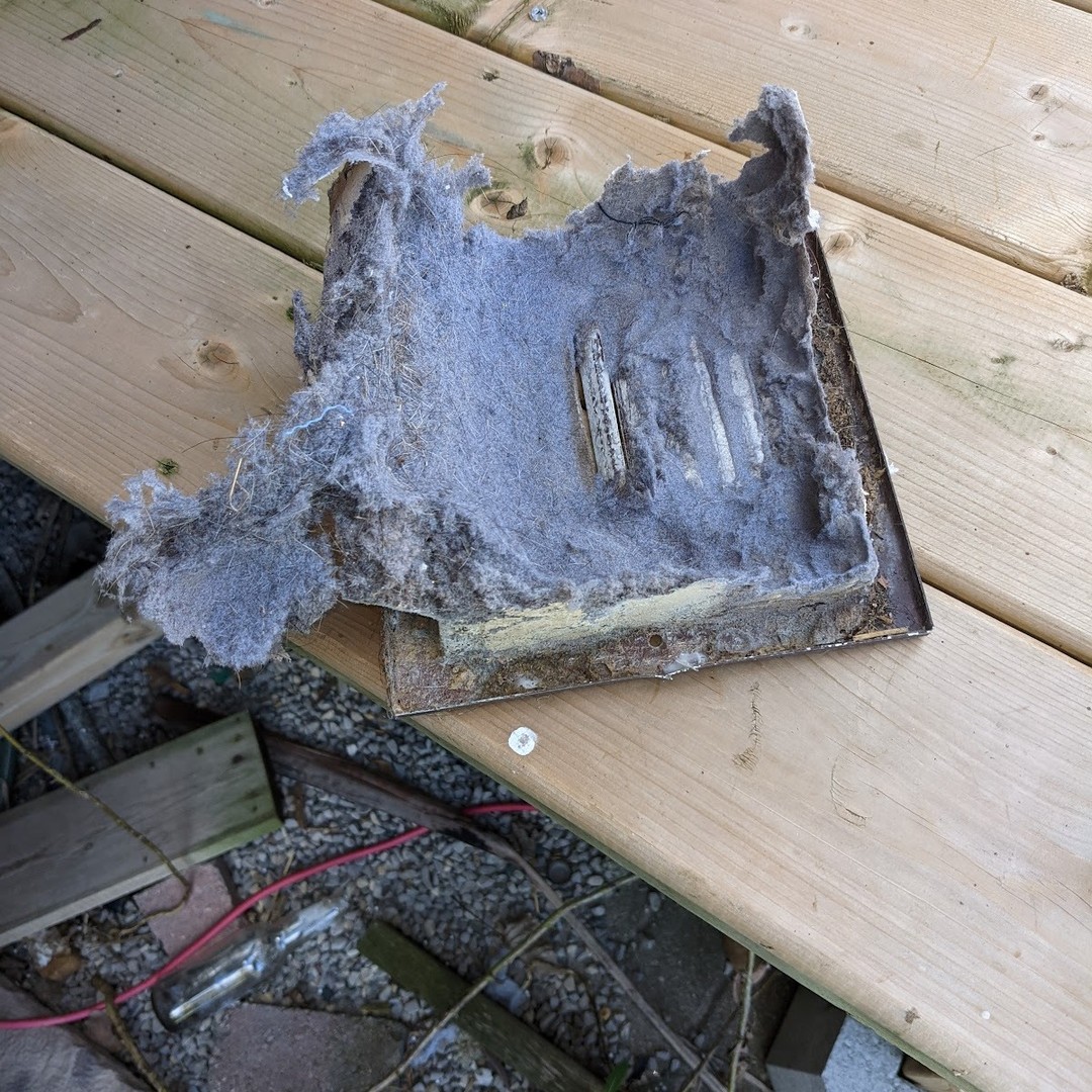 Dryer vent cover clogged with lint