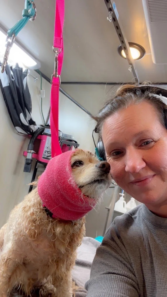 Mobile Grooming