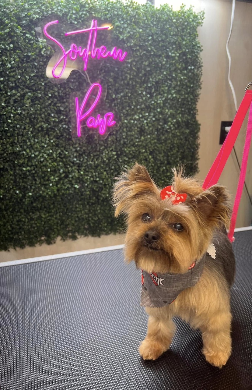 Mobile Dog Grooming