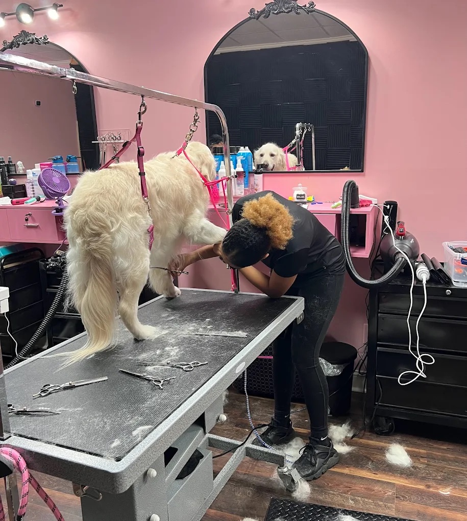 Southern Pines Grooming