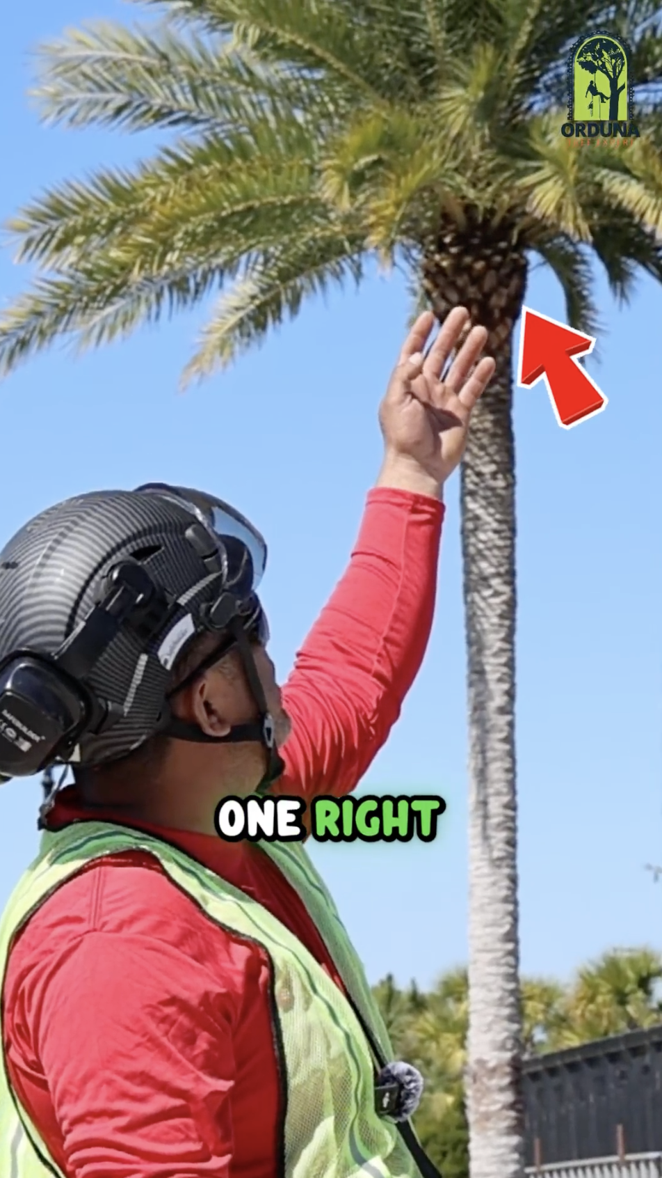 Organic Post 3 thumbnail