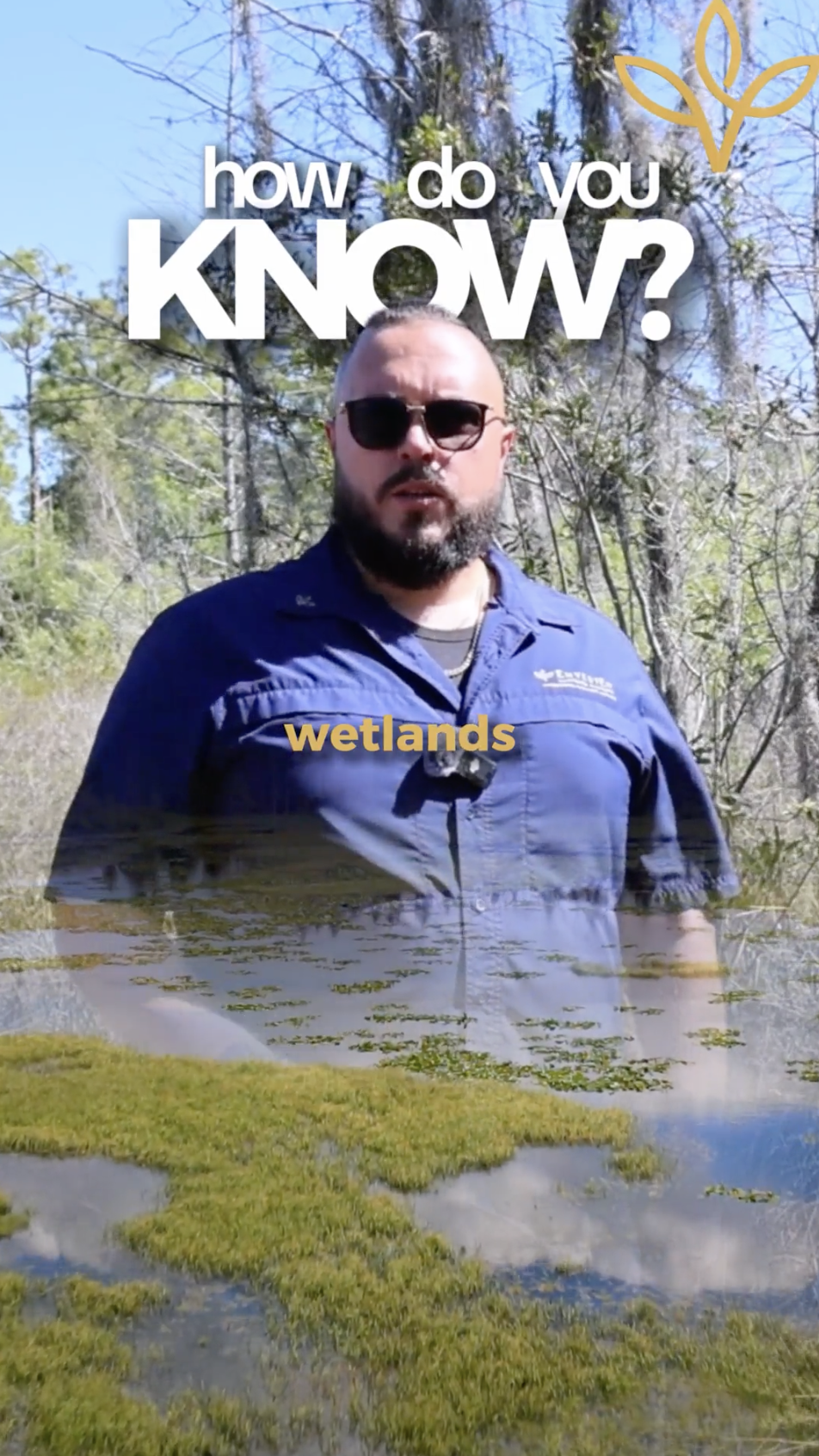 Envested Ventures — wetlands reel thumbnail