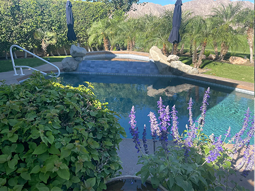 Pool Maintenance La Quinta, CA