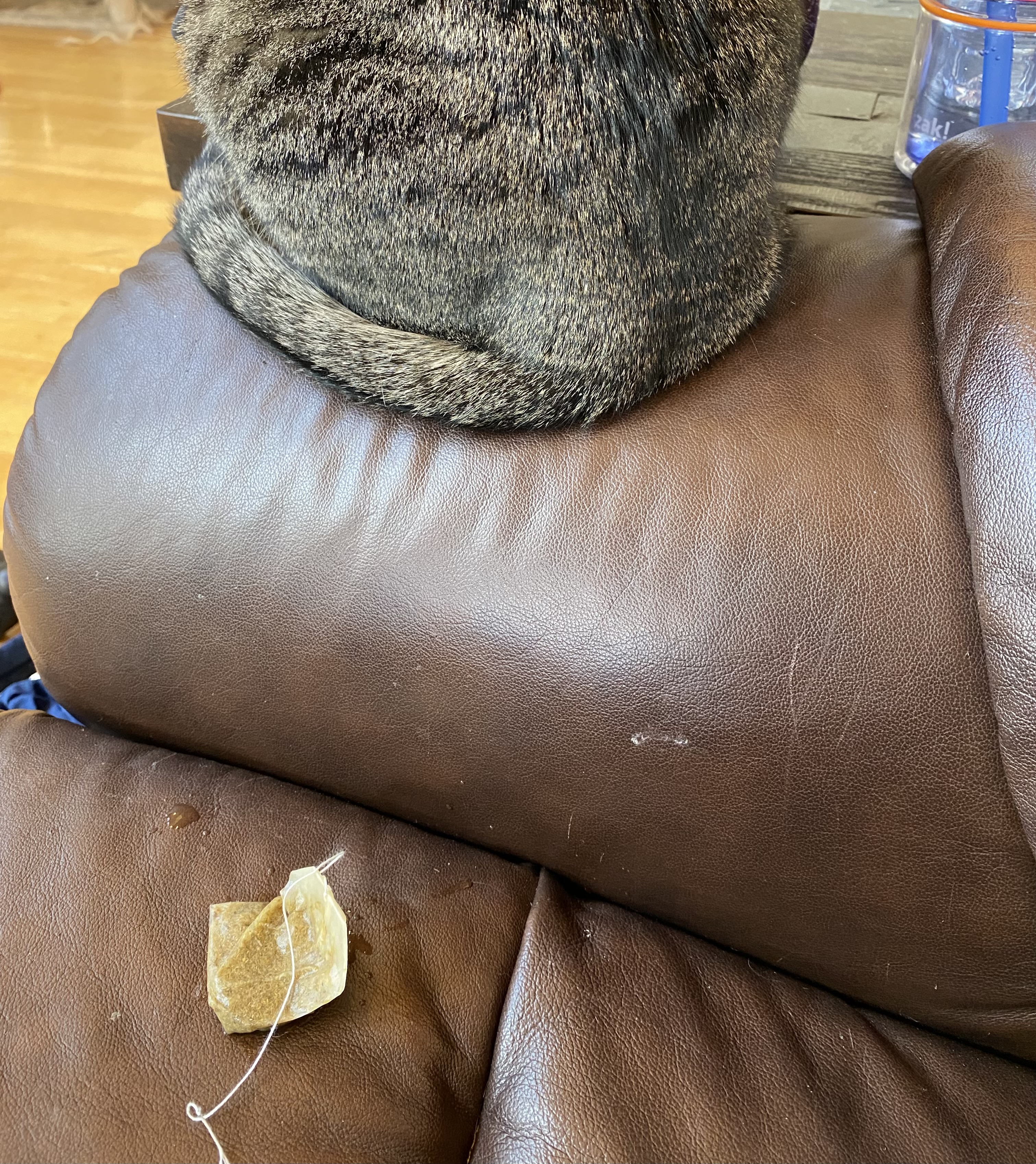 teabag on couch