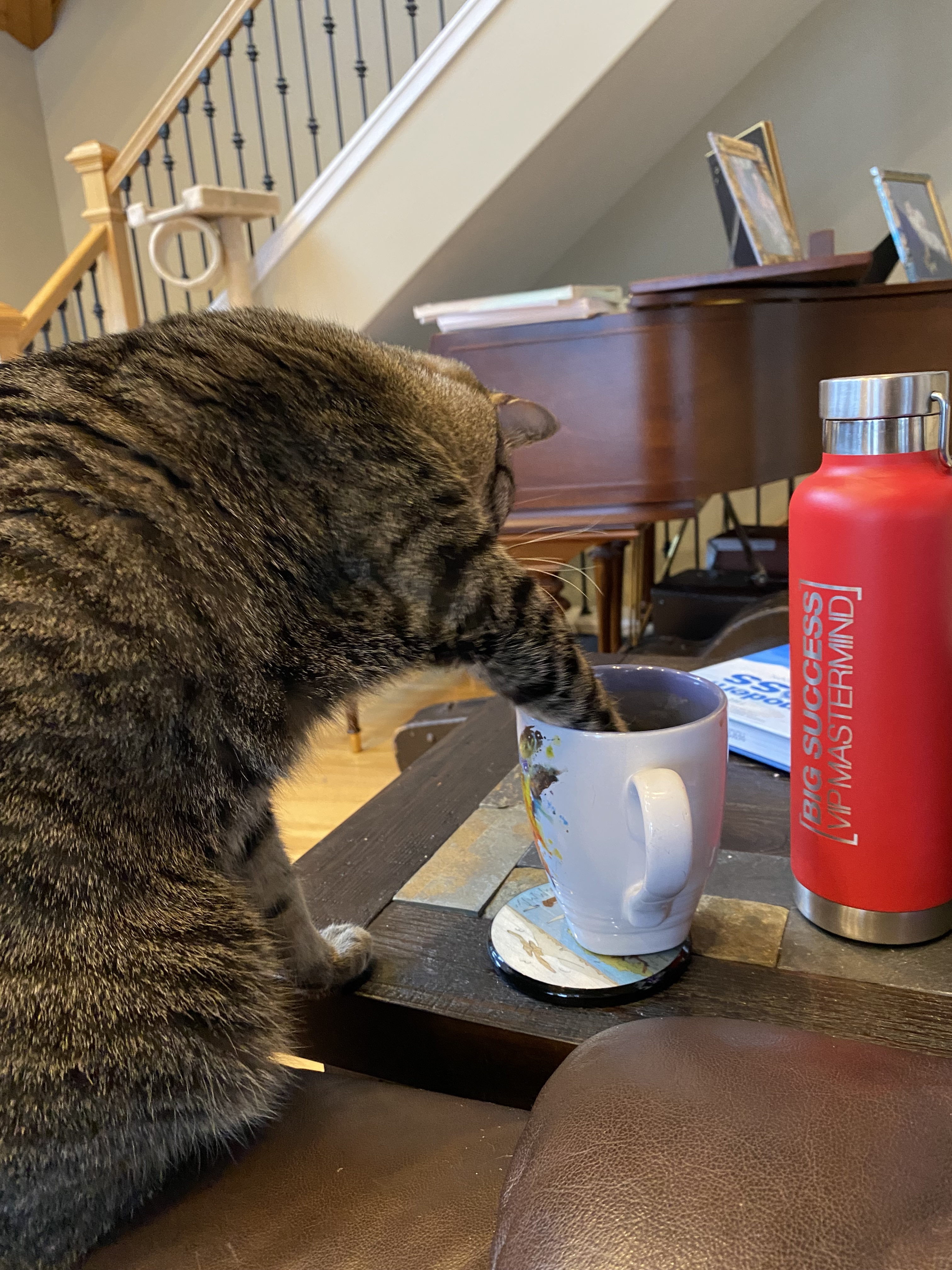 paw in mug
